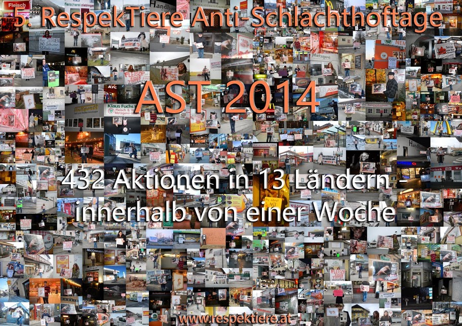 Ast Collage 2014