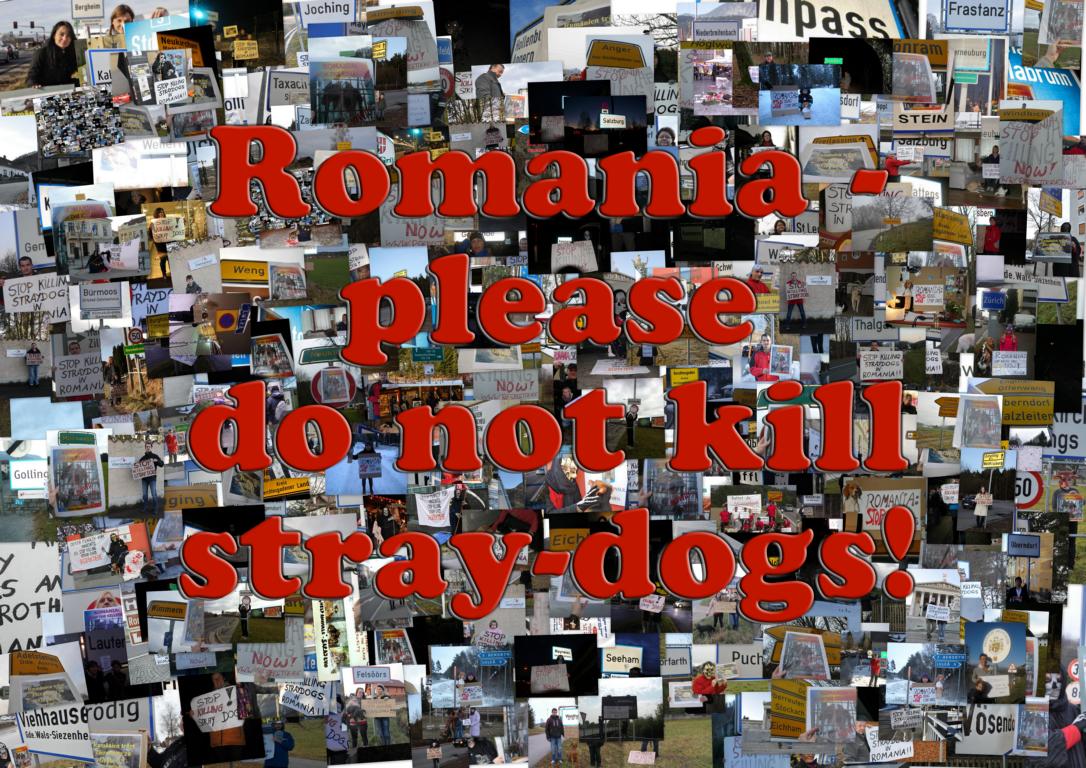 Rumänien Aktion