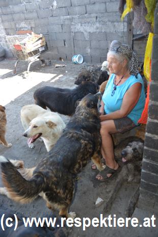 Frau Oprea mit ihren Hunden