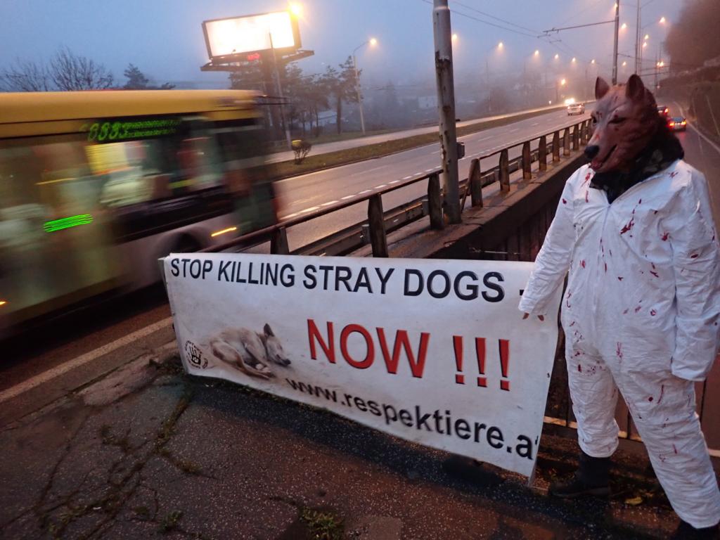 Protest fuer Strassenhunde in Bratislava
