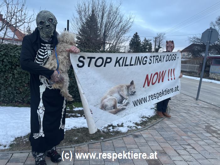 Stop Killing Stray Dogs Demo mit Rubi