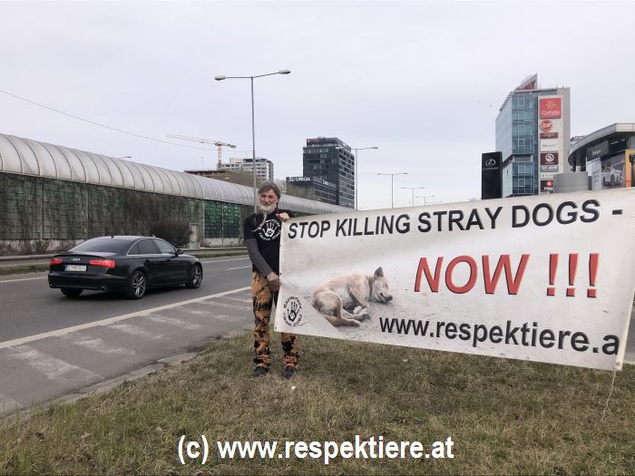 stop killing protest