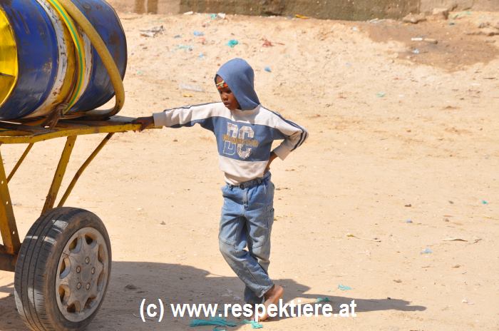 Esel in Mauretanien Kinder 11