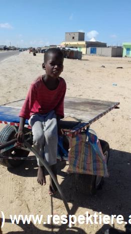 Esel in Mauretanien Kinder 20