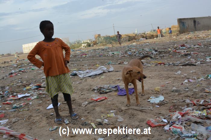Esel in Mauretanien Kinder 6