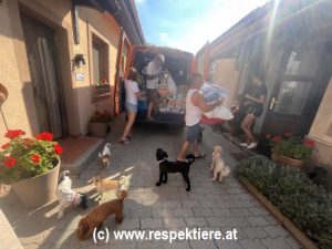 respekTIERE IN NOT on the road again 18