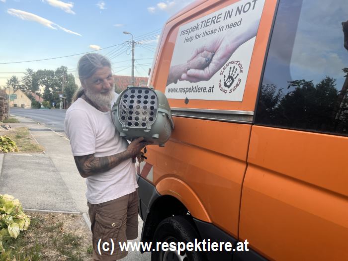 respekTIERE IN NOT on the road again 36