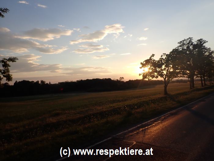 respekTIERE IN NOT on the road again 71