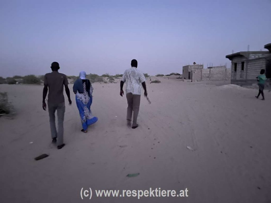 Esel in Mauretanien Bericht 2 13