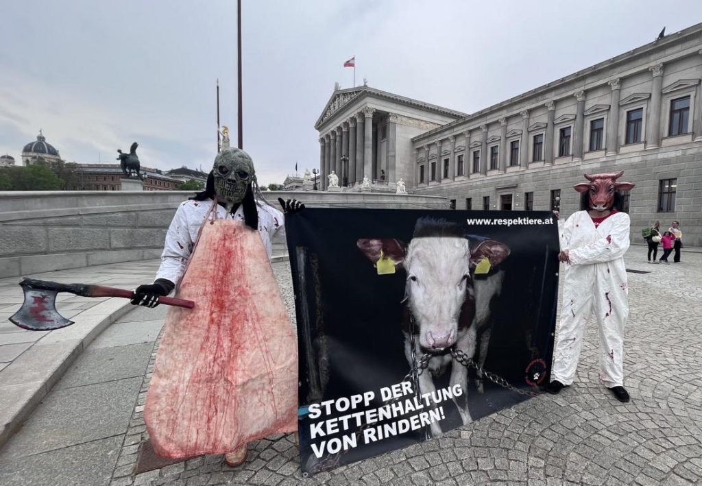 RespekTiere-Aktivisten im Metzger- und Kuhkostüm vor dem Parlament in Wien