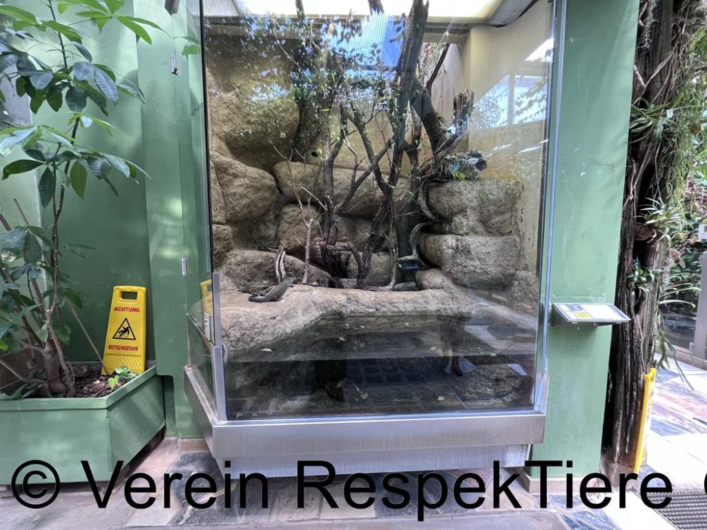 Zoo Frankfurt 17