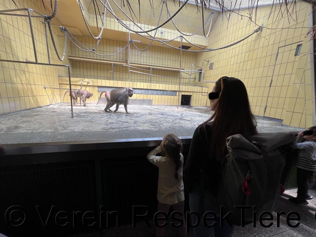 Zoo Frankfurt 33