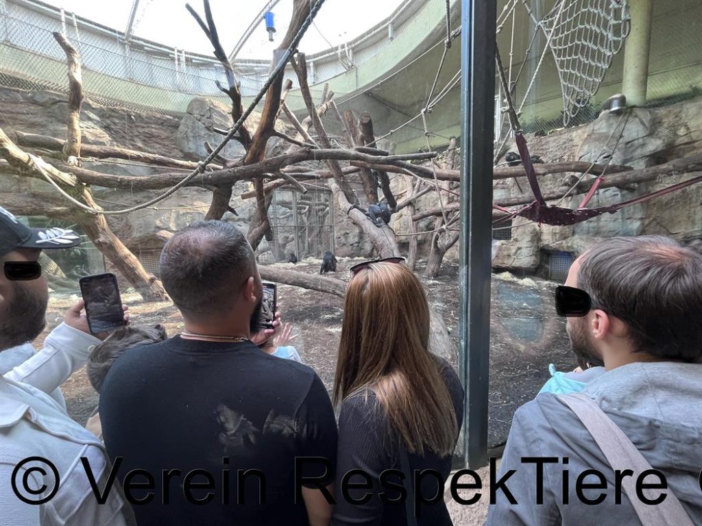 Zoo Frankfurt 46