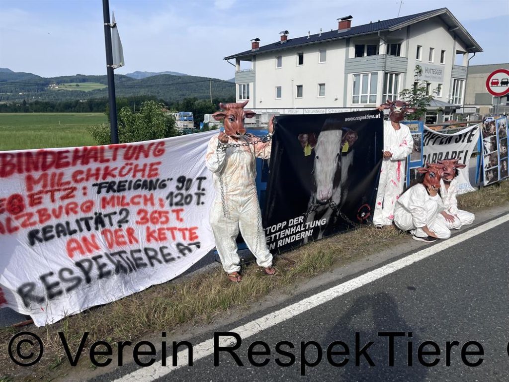 respekTiere vor dem Kuhstall - Kundgebung