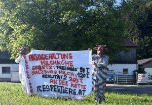 Aktivisten in Kuhmasken vor Bauernhof