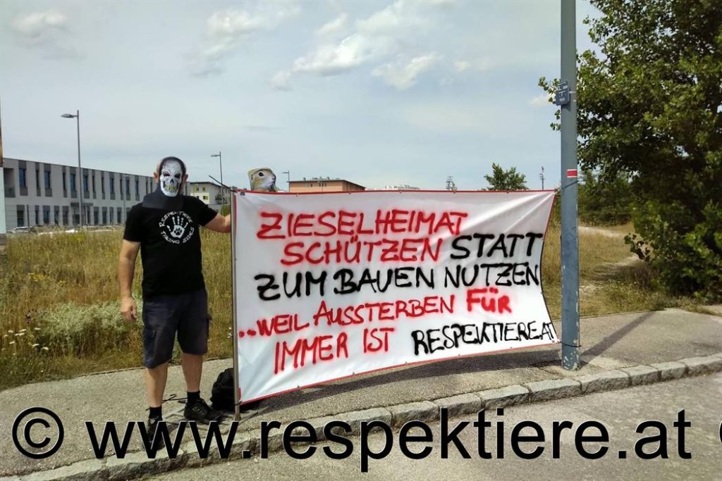 RespekTiere Aktivisten für die Ziesel in Wiener Neustadt