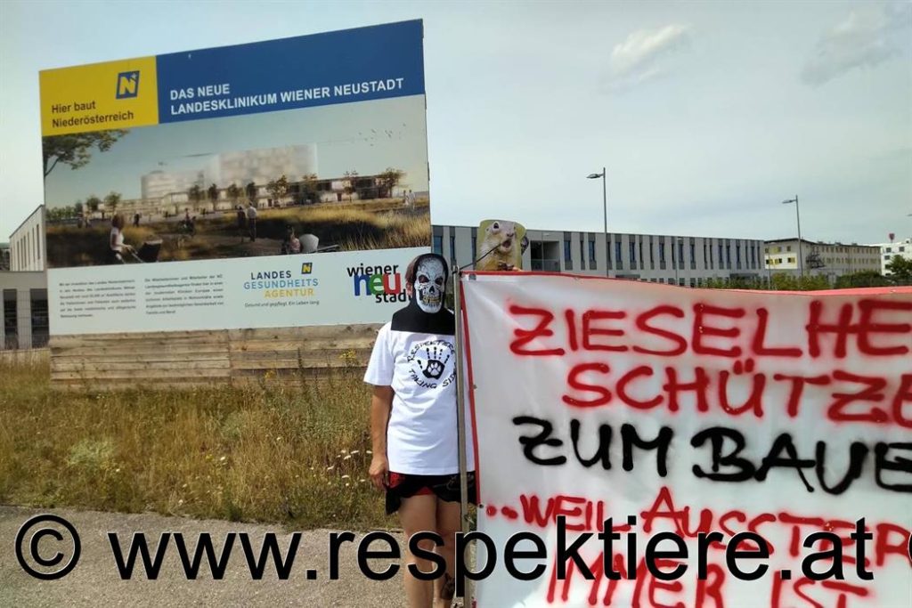 RespekTiere Aktivisten für die Ziesel in Wiener Neustadt