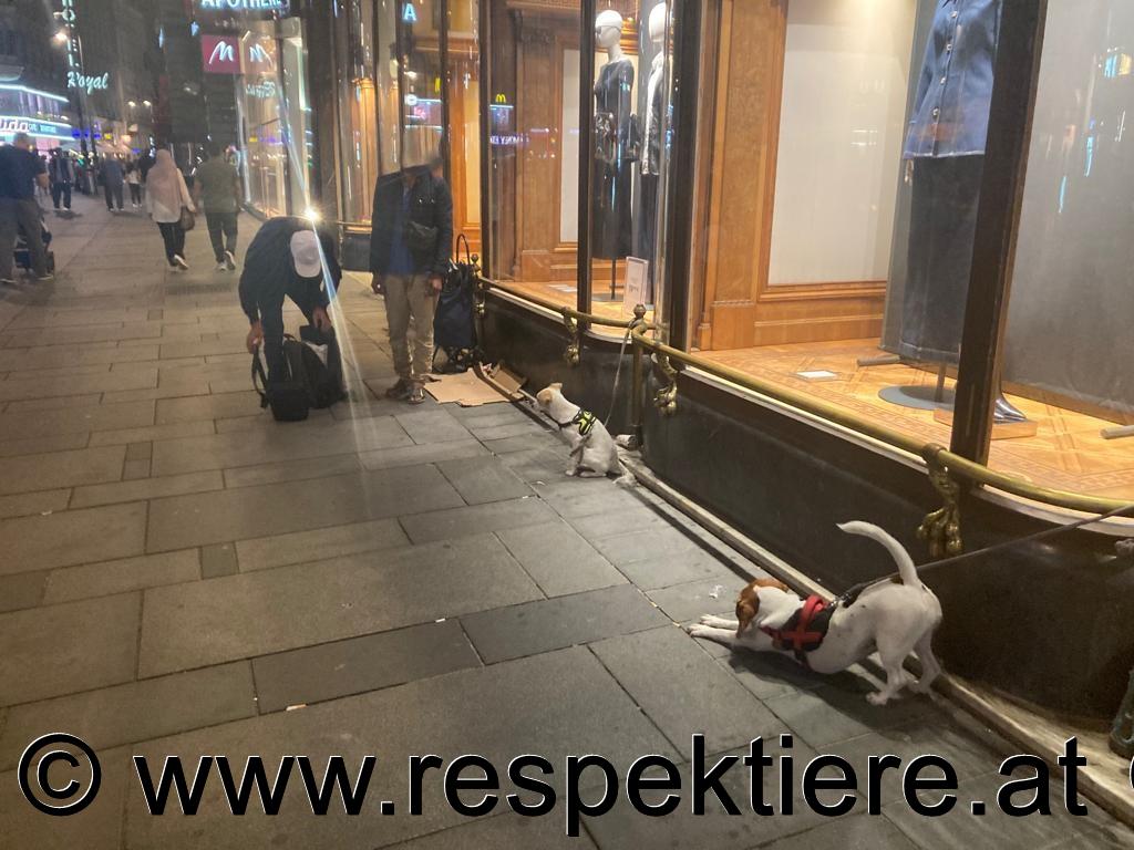 Bettler mit Hunden in Wien