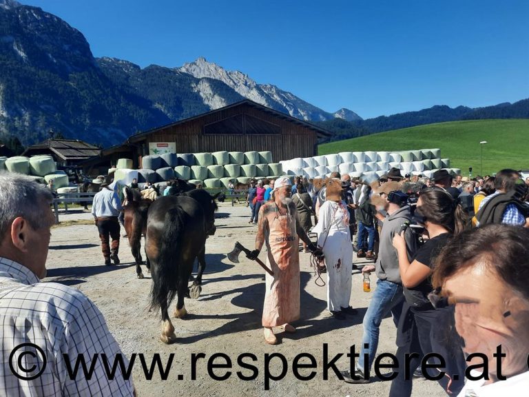 Tierschutzthemen - Pferdemarkt RespekTiere-AktivistInnen am Pferdemarkt