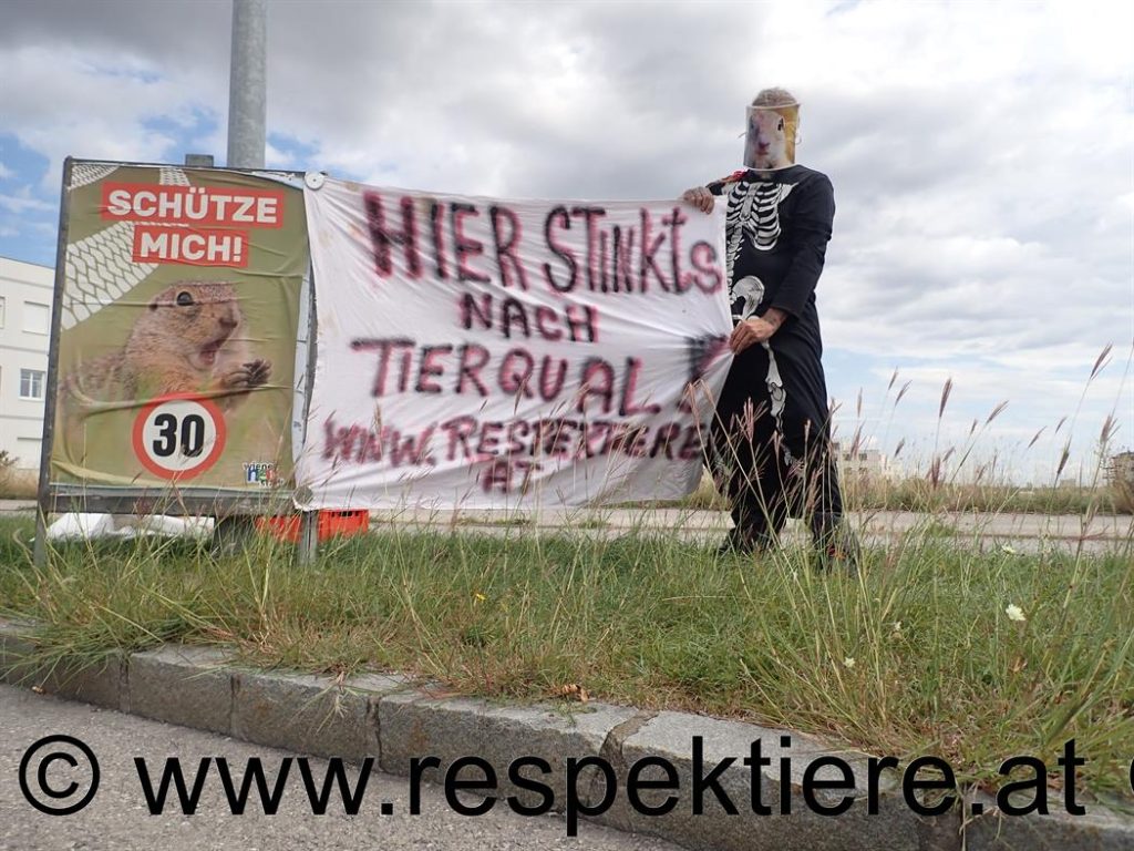 Aktivist im Zieselkostüm protestiert vor Baustelle