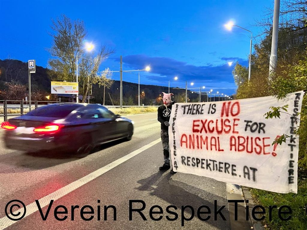 RespekTiere-Protest mit Schweinemaske in Bratislava