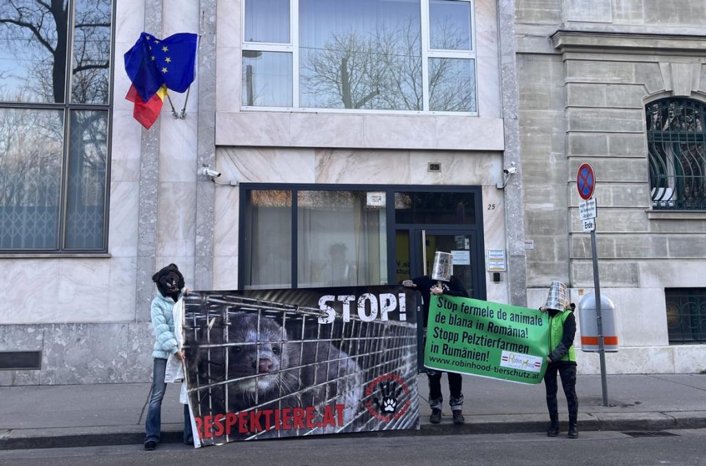 Protest gegen Nerzfarmen vor der Botschaft Rumäniens