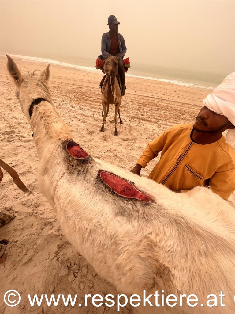 Mauretanien, der Einsatz - Teil 2