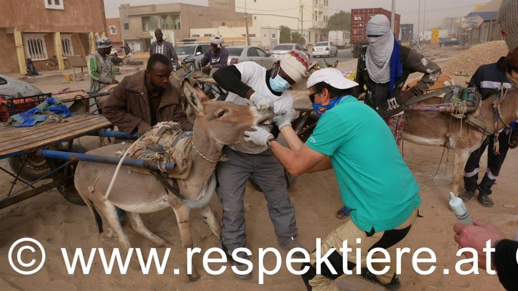 Mauretanien-Einsatz, Teil 3