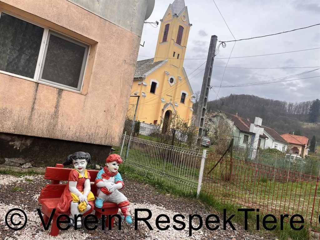 RespekTiere in Rumänien