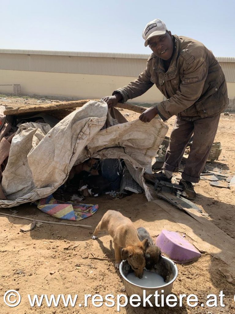 Tierliebe in Mauretanien